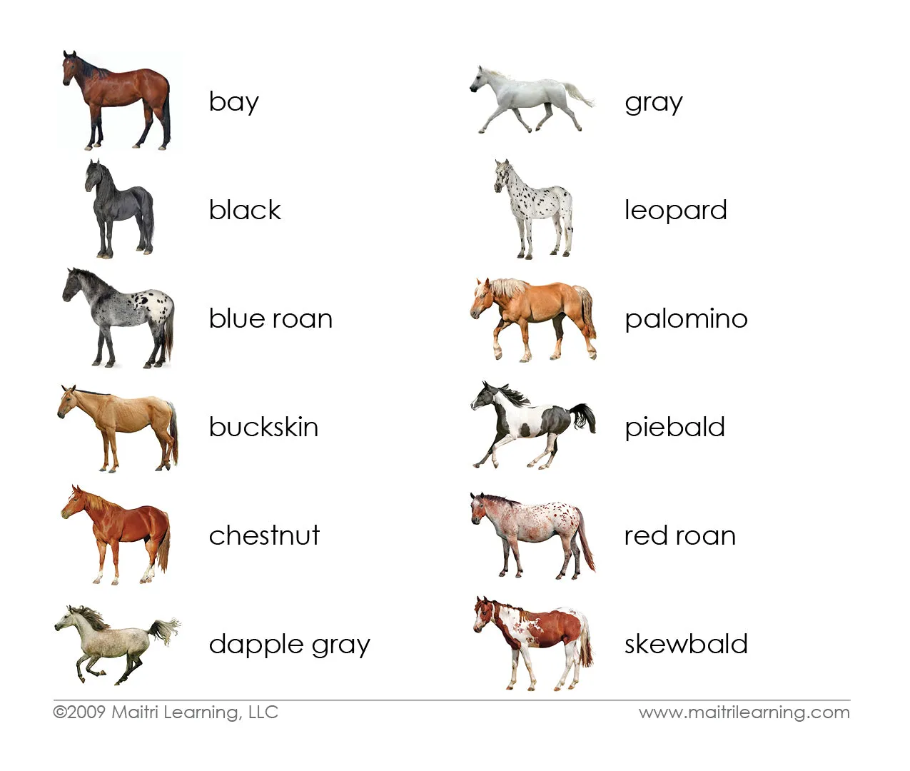 Horses (Coat Colors) 3-Part Reading