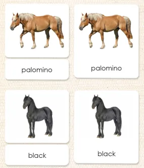 Horses (Coat Colors) 3-Part Reading