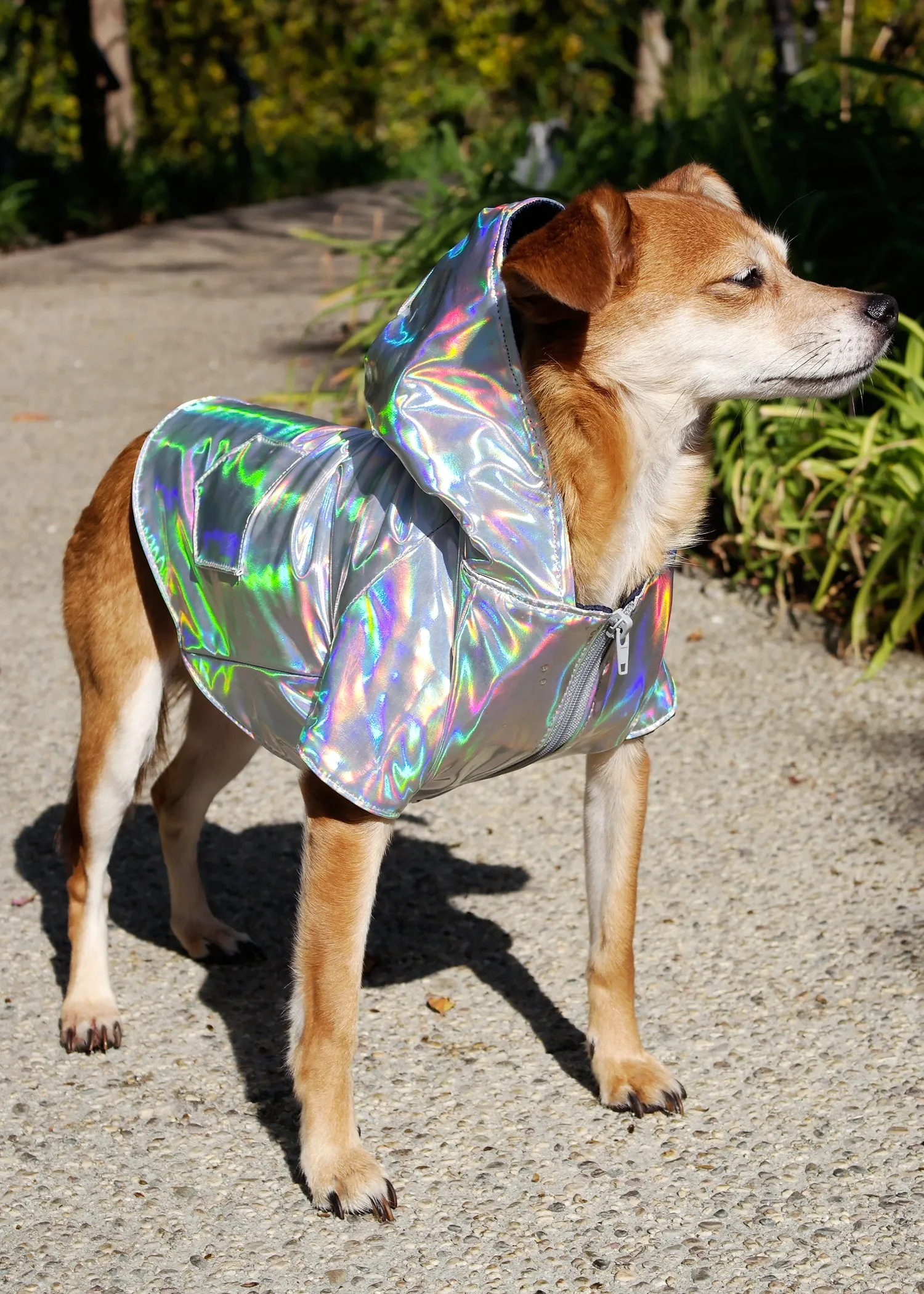 ILLUMINSCENT RAINCOAT WITH QUILTED INTERIOR