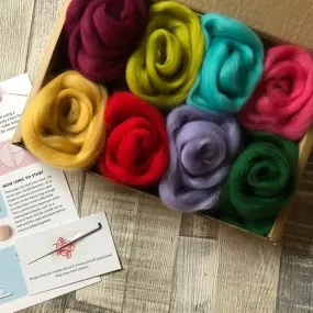 Needle Felting Starter Kit / Brights