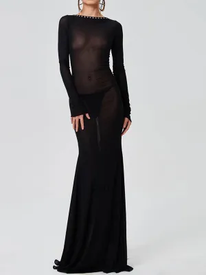 Sheer Bodycon Maxi Dress with Long Sleeves