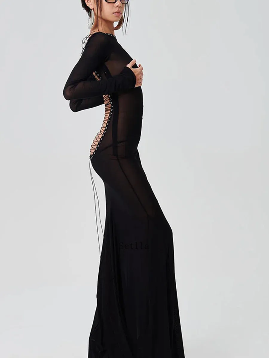 Sheer Bodycon Maxi Dress with Long Sleeves